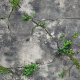 CONCRETE 0049