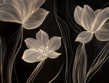 LEAVES - FRUNZE 0005