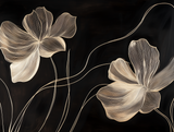 LEAVES - FRUNZE 0006