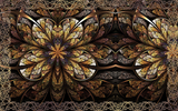 DSD - 557
