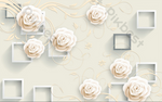DSD - 560