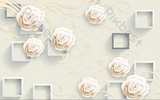 DSD - 560