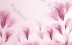 DSD - 382