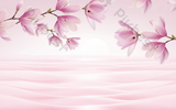 DSD - 384