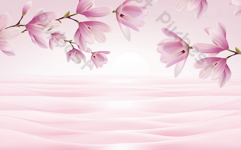 DSD - 384
