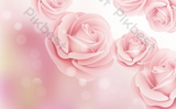DSD - 388