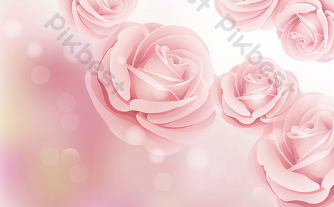 DSD - 388