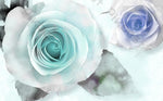DSD-765