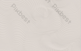 DSD - 428