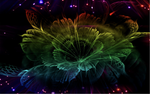 DSD - 458