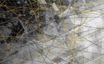 DSD - 98