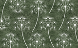 DSD - 465
