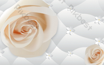 DSD - 481