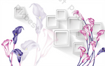 DSD - 488