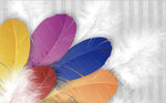 DSD-750