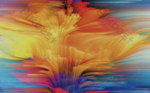 DSD - 507