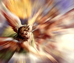 ANGELS - 21