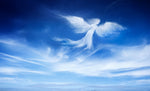 ANGELS - 39