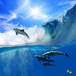 SEA - 10