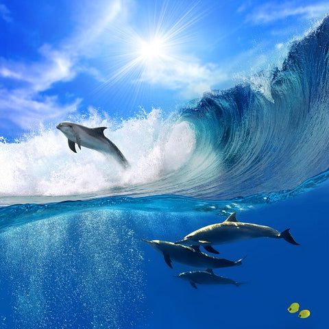SEA - 10