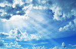 SKY - 016