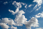 SKY - 099