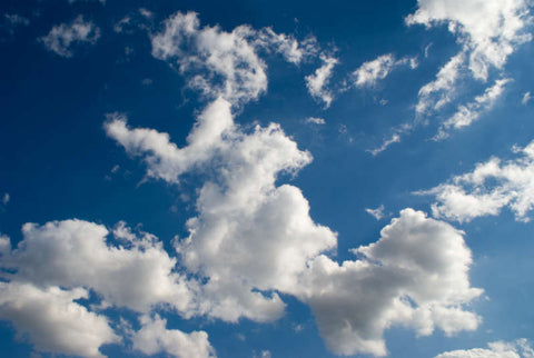 SKY - 099