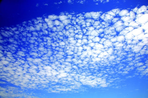 SKY - 100